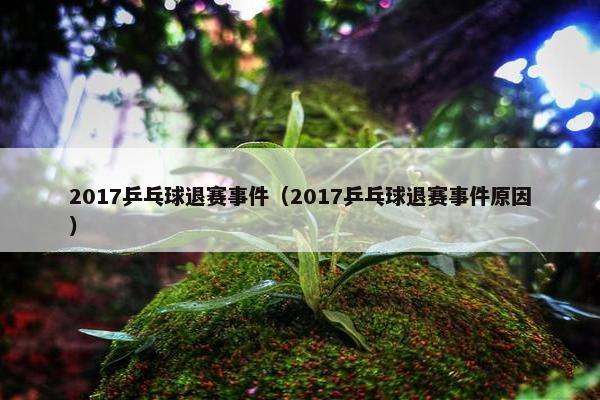 2017乒乓球退赛事件（2017乒乓球退赛事件原因）