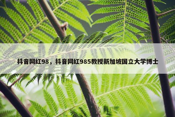 抖音网红98，抖音网红985教授新加坡国立大学博士