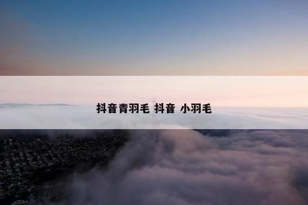 抖音青羽毛 抖音 小羽毛