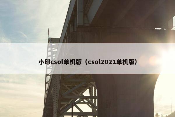 小印csol单机版（csol2021单机版）