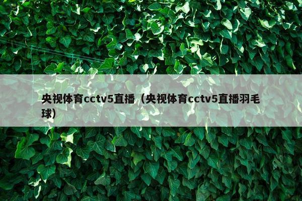 央视体育cctv5直播（央视体育cctv5直播羽毛球）