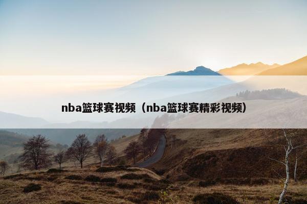 nba篮球赛视频（nba篮球赛精彩视频）