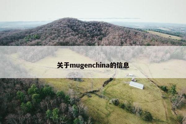 关于mugenchina的信息