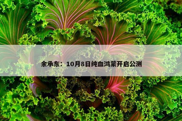 余承东：10月8日纯血鸿蒙开启公测