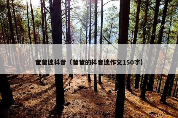 爸爸迷抖音（爸爸的抖音迷作文150字）