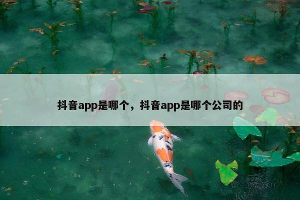 抖音app是哪个，抖音app是哪个公司的