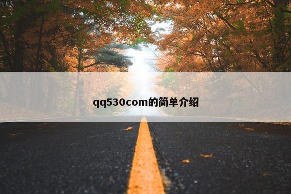 qq530com的简单介绍