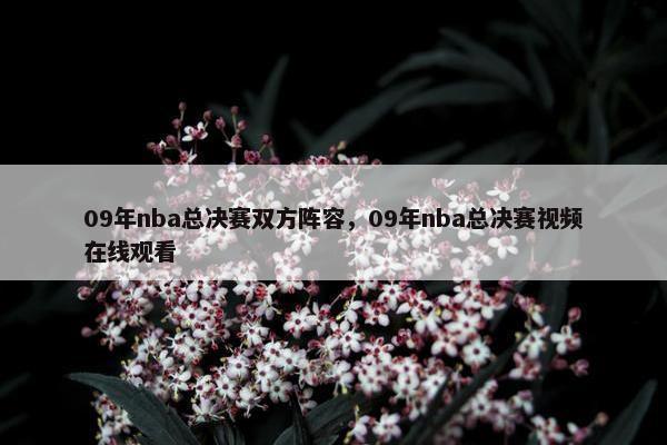 09年nba总决赛双方阵容，09年nba总决赛视频在线观看