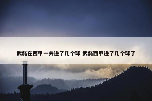 武磊在西甲一共进了几个球 武磊西甲进了几个球了