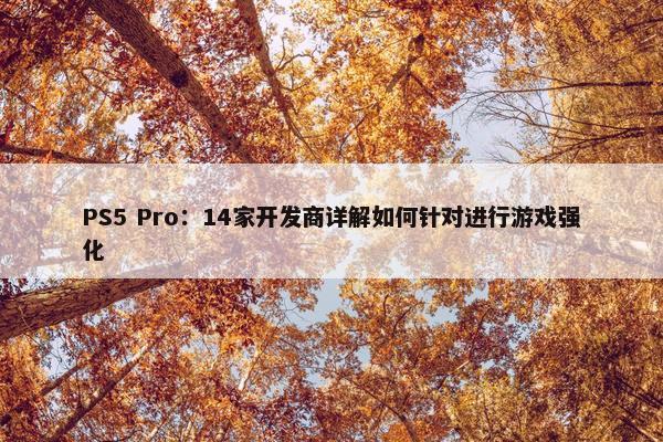 PS5 Pro：14家开发商详解如何针对进行游戏强化