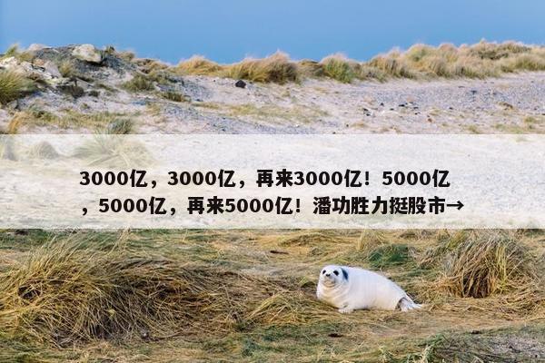 3000亿，3000亿，再来3000亿！5000亿，5000亿，再来5000亿！潘功胜力挺股市→