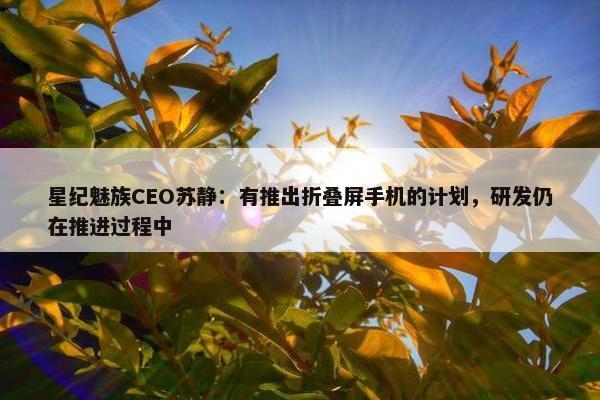 星纪魅族CEO苏静：有推出折叠屏手机的计划，研发仍在推进过程中