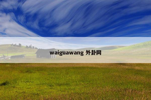 waiguawang 外卦网