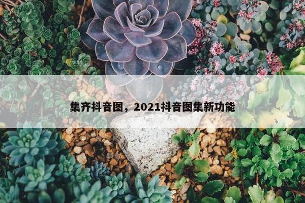 集齐抖音图，2021抖音图集新功能