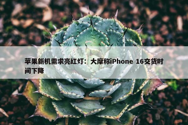 苹果新机需求亮红灯：大摩称iPhone 16交货时间下降