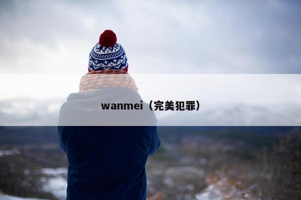 wanmei（完美犯罪）