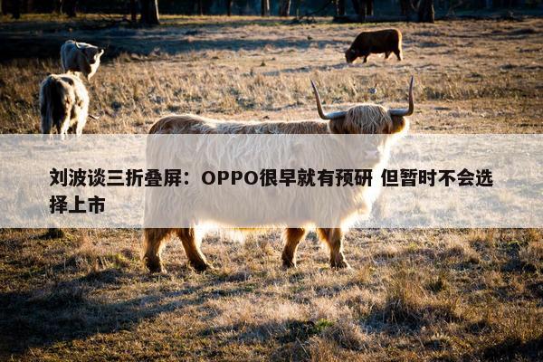 刘波谈三折叠屏：OPPO很早就有预研 但暂时不会选择上市