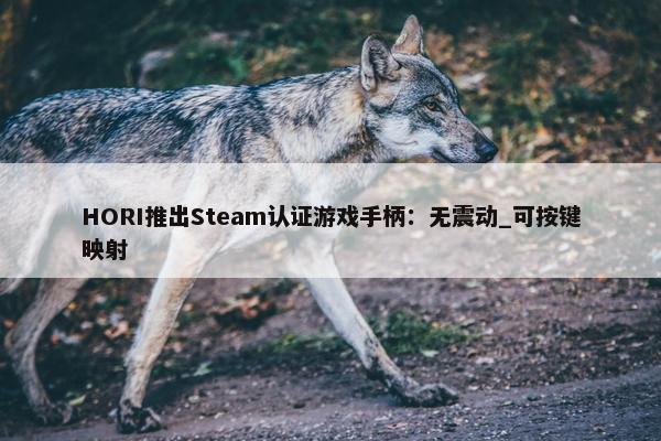 HORI推出Steam认证游戏手柄：无震动_可按键映射