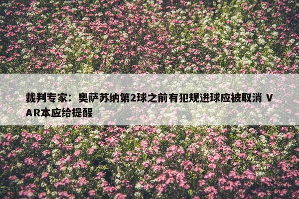 裁判专家：奥萨苏纳第2球之前有犯规进球应被取消 VAR本应给提醒