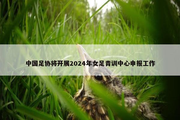 中国足协将开展2024年女足青训中心申报工作