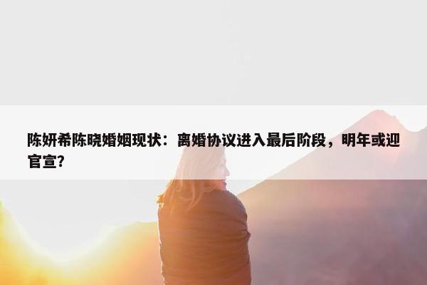 陈妍希陈晓婚姻现状：离婚协议进入最后阶段，明年或迎官宣？