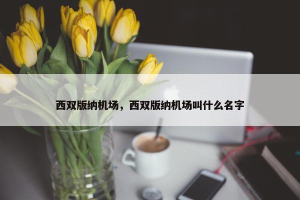 西双版纳机场，西双版纳机场叫什么名字