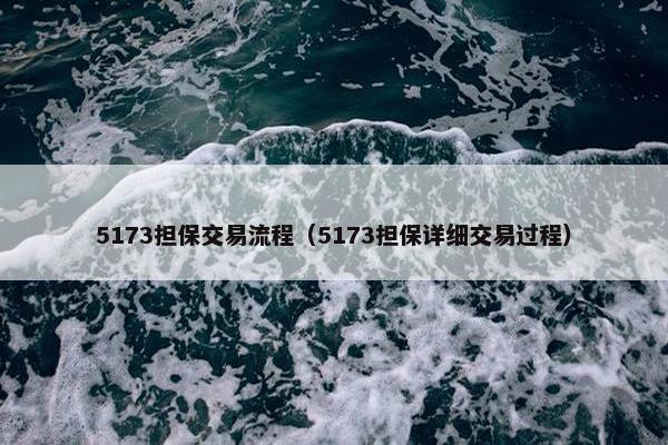 5173担保交易流程（5173担保详细交易过程）