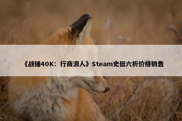 《战锤40K：行商浪人》Steam史低六折价格销售