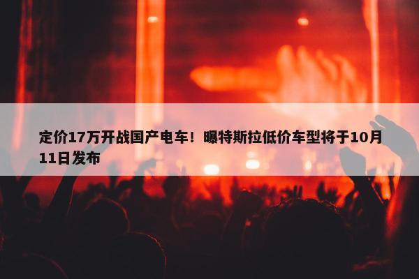 定价17万开战国产电车！曝特斯拉低价车型将于10月11日发布