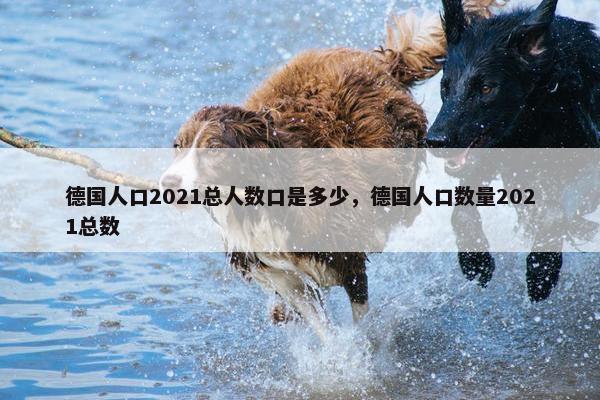 德国人口2021总人数口是多少，德国人口数量2021总数