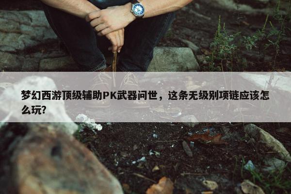 梦幻西游顶级辅助PK武器问世，这条无级别项链应该怎么玩？