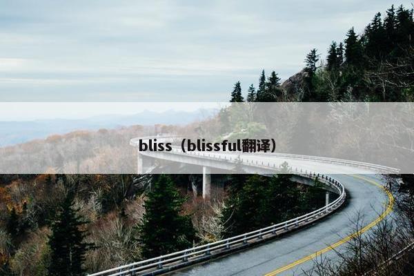 bliss（blissful翻译）