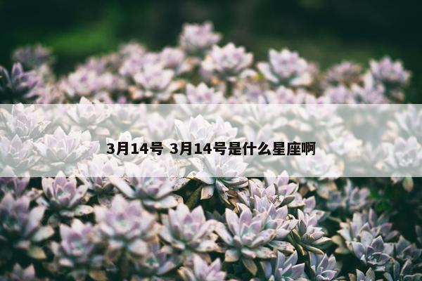 3月14号 3月14号是什么星座啊