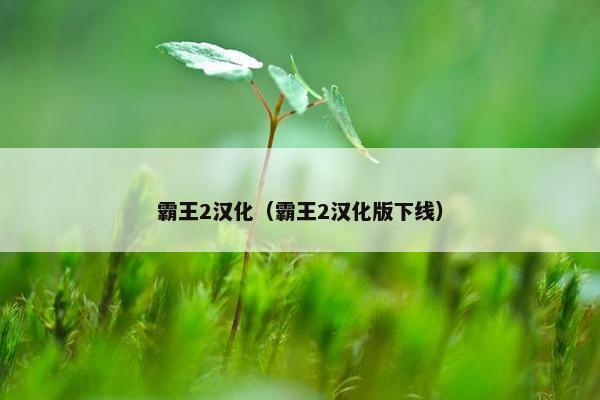 霸王2汉化（霸王2汉化版下线）