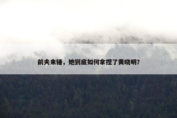 前夫来锤，她到底如何拿捏了黄晓明？