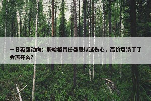 一日英超动向：滕哈格留任曼联球迷伤心，高价引诱丁丁会离开么？