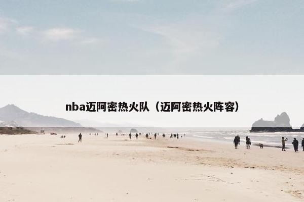 nba迈阿密热火队（迈阿密热火阵容）