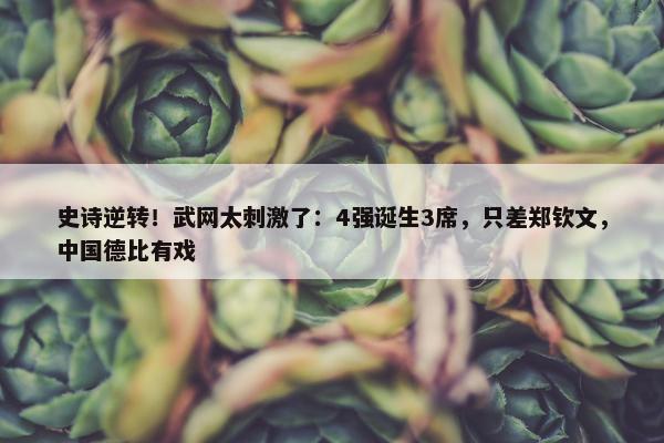 史诗逆转！武网太刺激了：4强诞生3席，只差郑钦文，中国德比有戏