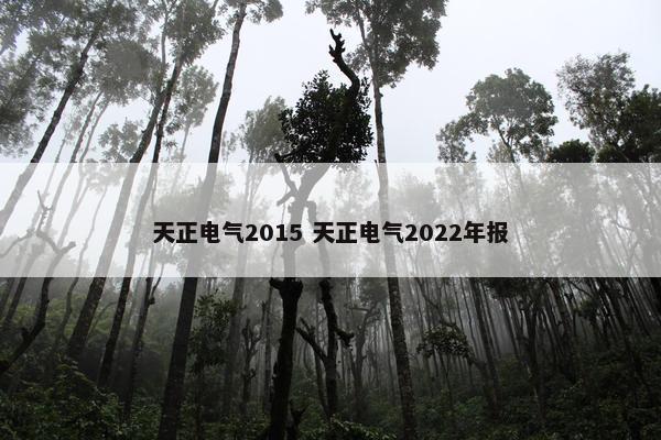 天正电气2015 天正电气2022年报