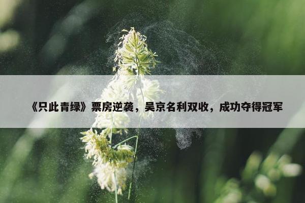 《只此青绿》票房逆袭，吴京名利双收，成功夺得冠军