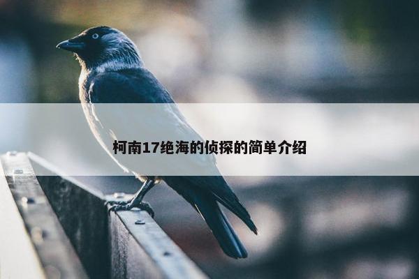 柯南17绝海的侦探的简单介绍