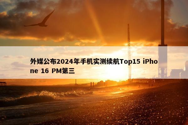 外媒公布2024年手机实测续航Top15 iPhone 16 PM第三