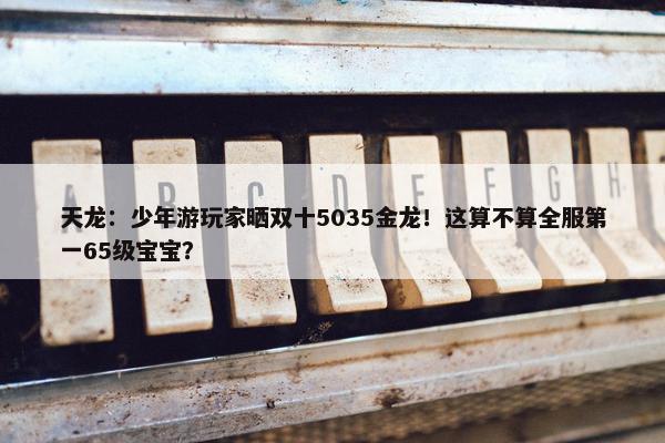 天龙：少年游玩家晒双十5035金龙！这算不算全服第一65级宝宝？