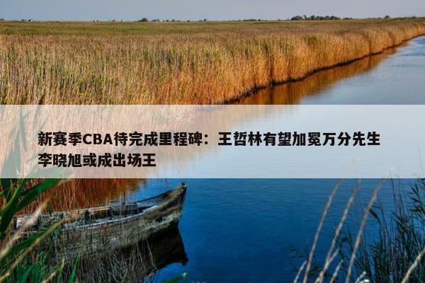 新赛季CBA待完成里程碑：王哲林有望加冕万分先生 李晓旭或成出场王