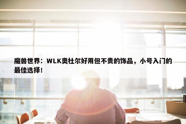 魔兽世界：WLK奥杜尔好用但不贵的饰品，小号入门的最佳选择！