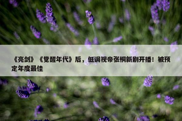 《亮剑》《觉醒年代》后，低调视帝张桐新剧开播！被预定年度最佳