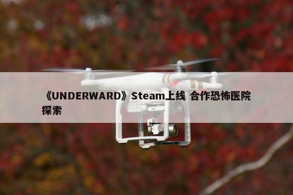 《UNDERWARD》Steam上线 合作恐怖医院探索