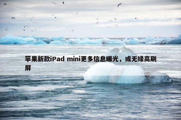 苹果新款iPad mini更多信息曝光，或无缘高刷屏