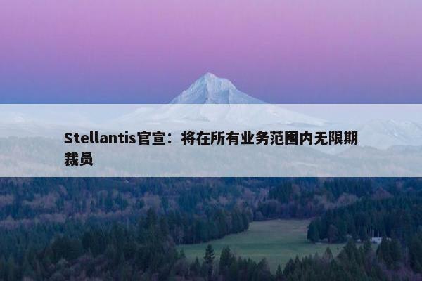 Stellantis官宣：将在所有业务范围内无限期裁员