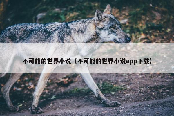 不可能的世界小说（不可能的世界小说app下载）